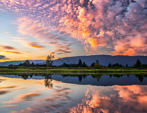 重庆主教练透露未来发展规划，豪言夺冠