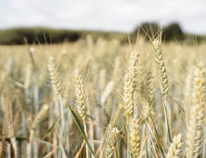 广厦队成功逆袭宁夏饮马，战胜对手
