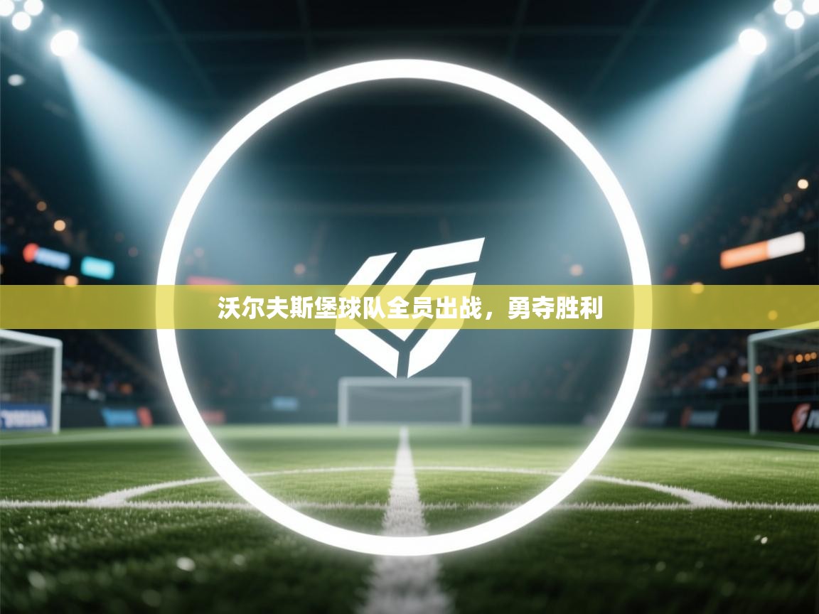 沃尔夫斯堡球队全员出战,勇夺胜利 第2张