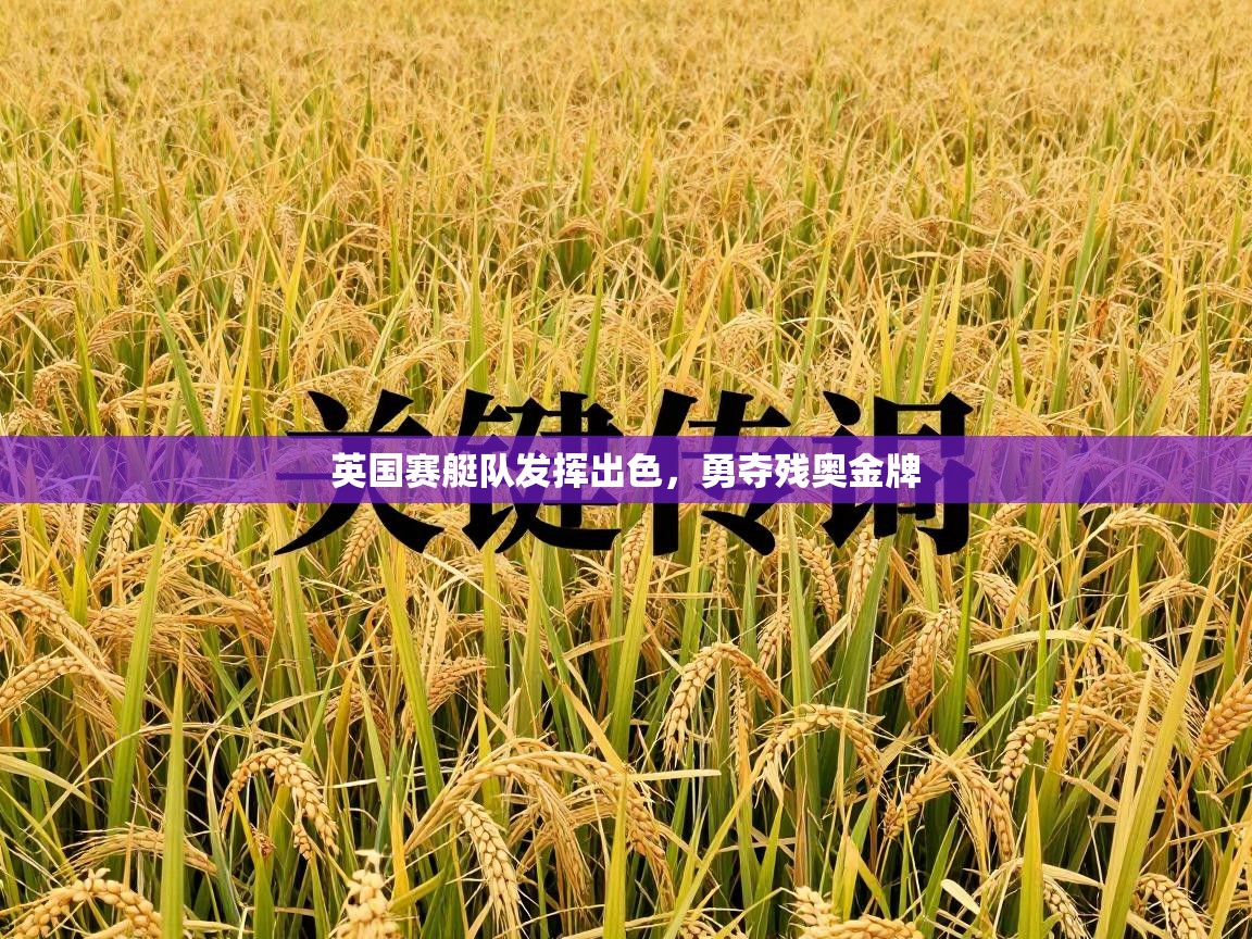 英国赛艇队发挥出色,勇夺残奥金牌