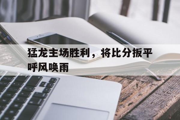 开云体育在线入口-猛龙主场胜利，将比分扳平呼风唤雨的简单介绍